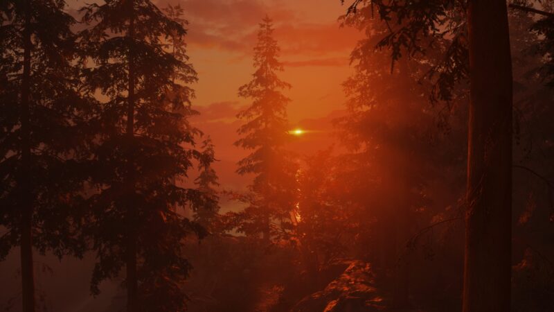 A foggy forest at sunset, with tall pine trees silhouetted against a vibrant orange sky and a faint sun glimmering on the water in the background.