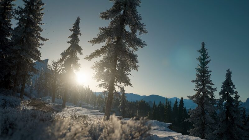 A winter landscape features tall evergreen trees covered in snow, with the sun rising in the background, casting a warm glow over a mountainous terrain.