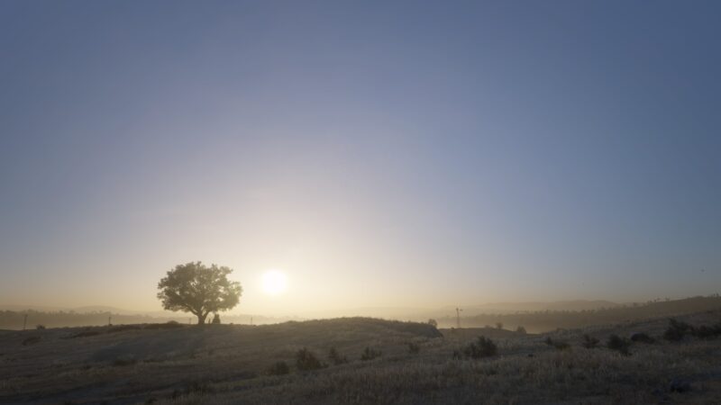 A solitary tree stands against a hazy sunrise, illuminating a misty landscape with rolling hills and distant silhouettes, creating a serene and tranquil atmosphere.